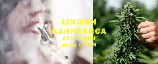 дурь Ельня
