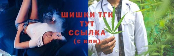 молекула духа Елизово