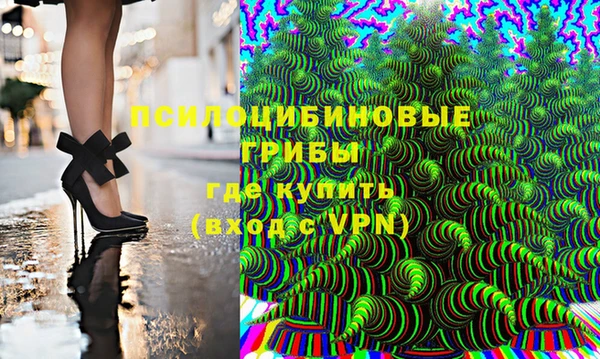 молекула духа Елизово