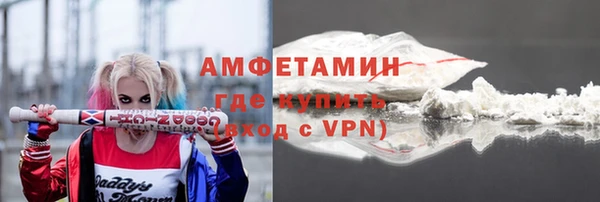 дурь Ельня