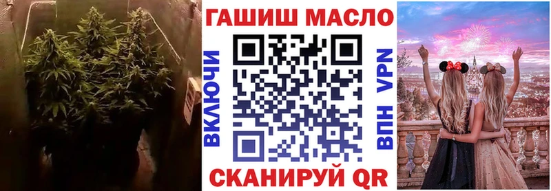 Купить  Муравленко  ТГК гашишное масло 